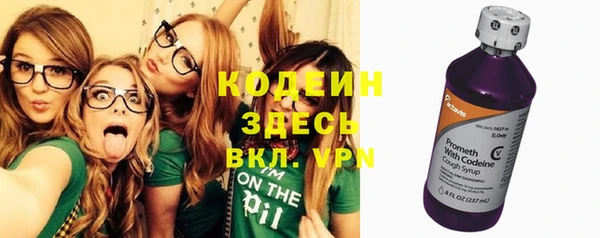 тгк Елизово