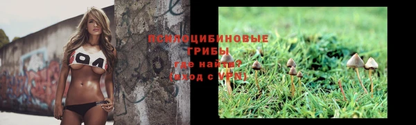 тгк Елизово