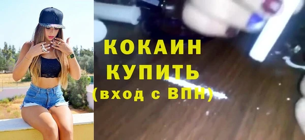 тгк Елизово