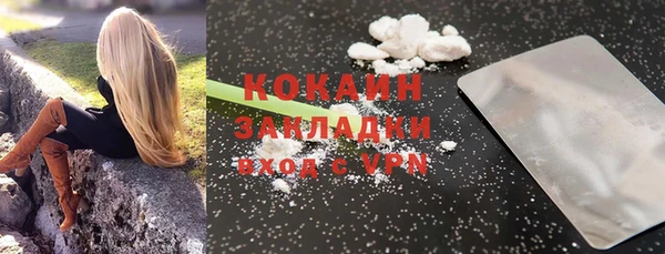 тгк Елизово