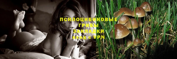 тгк Елизово