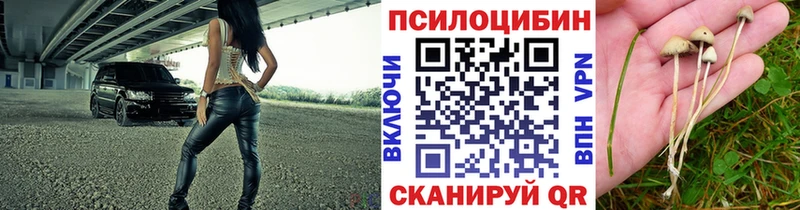 Галлюциногенные грибы Magic Shrooms  Купить где  Касимов 